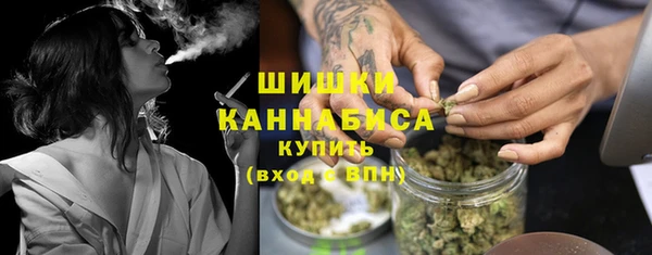 бошки Дмитров