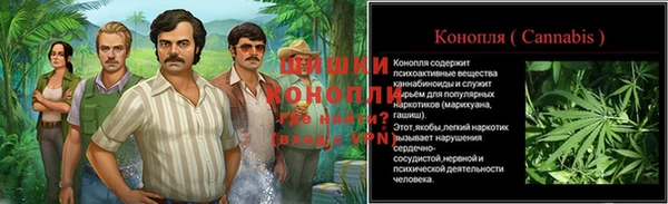 стафф Белокуриха